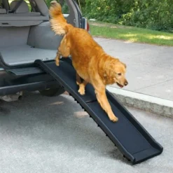 All For Paws Dog Bilramp