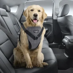 All For Paws Dog Bilsele