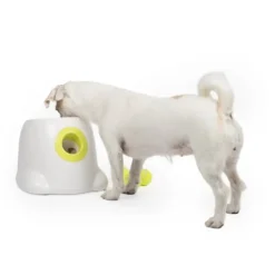 All For Paws HyperFetch Bollkastare Mini