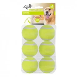 All For Paws Hyper Fetch Extrabollar 5 cm 6-pack
