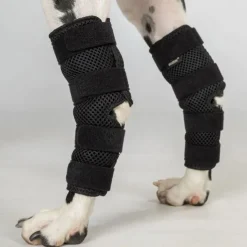 Back on Track Dixie Hasskydd till Hund 2-pack