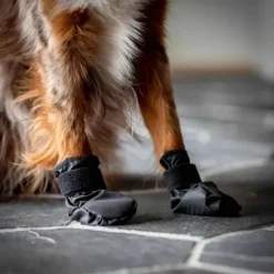Back On Track Koda Hundskor 2-pack