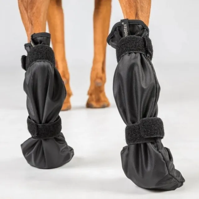 Back On Track Lola Welltex Hundstrumpor 2-pack