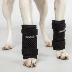 Back on Track Milo Benskydd till Hund 2-pack
