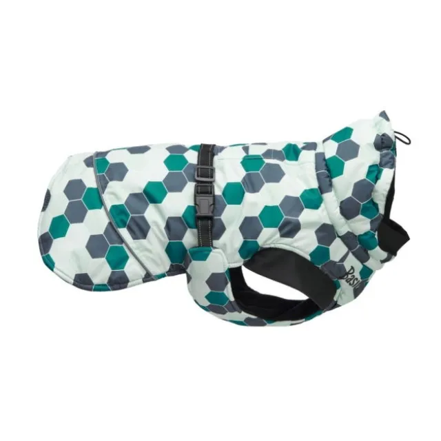 Basic Arctic Vinterjacka till Hund Turkos