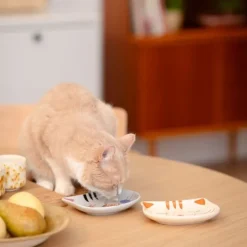 Basic Cat Face Keramikskål för Katt Beige