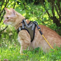 Basic Cat NoEscape Sporty Kattsele Grön