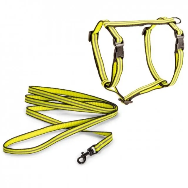 Basic Cat Reflective Kattsele & Koppel