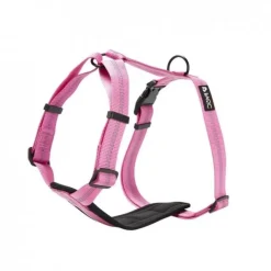 Basic First Y-sele Violett