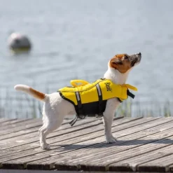 Basic Float 2.0 Hundflytväst Gul