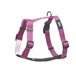 Basic Fresh Y-sele Lila