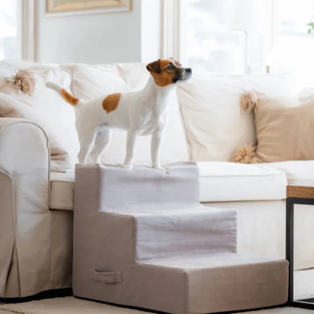 Basic Home Hundtrappa Beige