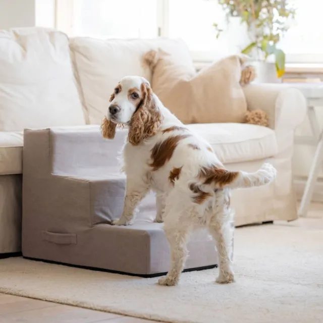 Basic Home Hundtrappa Beige