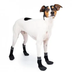 Basic Paws Hundstrumpor Svart 4-pack