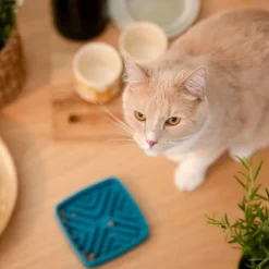 Basic Slow Down Kattskål i Melamin 12 cm Blå