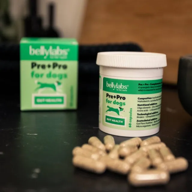 Bellylabs Pre+Pro Gut Health för Hund 60 kapslar