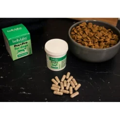 Bellylabs Pre+Pro Gut Health för Hund 60 kapslar