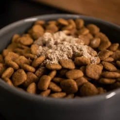 Bellylabs Pre+Pro Gut Health för Hund 60 kapslar