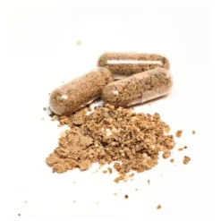 Bellylabs Pre+Pro Gut Health för Hund 60 kapslar