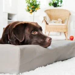 Bia Bed Original Hundbädd Mullvad