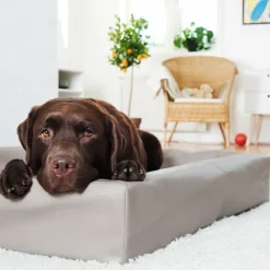 Bia Bed Original Hundbädd Mullvad