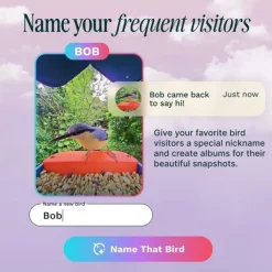 Bird Buddy Fågelmatare med Kamera Blå