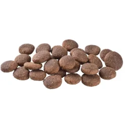 Brit Care Dog Adult Large Breed Grain Free Salmon