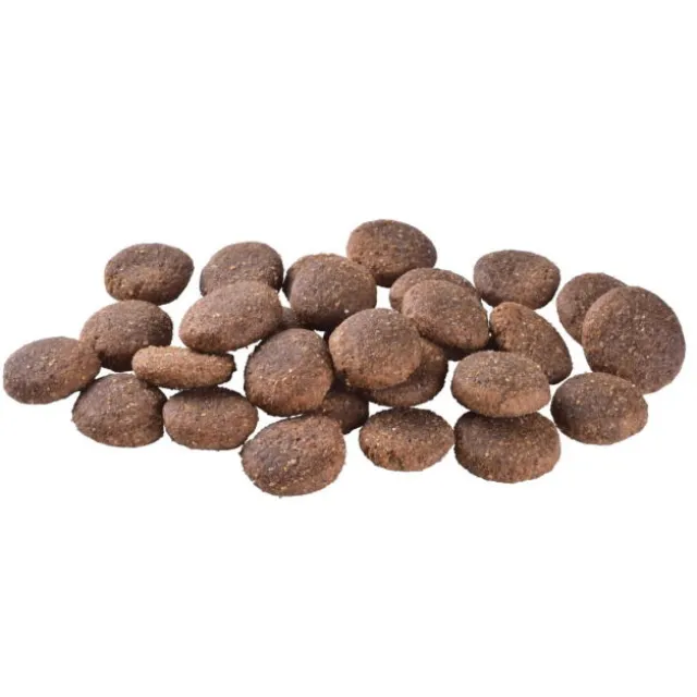 Brit Care Dog Adult Large Breed Grain Free Salmon