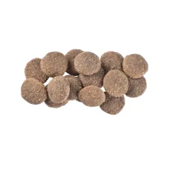 Brit Care Dog Senior Sustainable Chicken & Insect