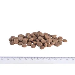 Brit Care Mini Grain Free Light&Sterilised
