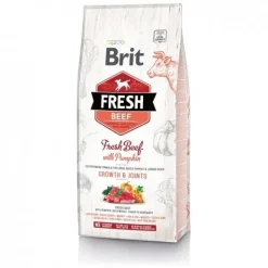 Brit Fresh Beef with Pumpkin Puppy Large