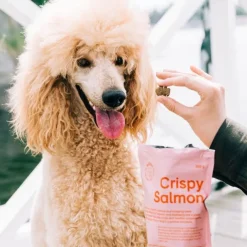 Buddy Petfoods Crispy Salmon Hundgodis 150 g