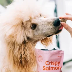 Buddy Petfoods Crispy Salmon Hundgodis 150 g