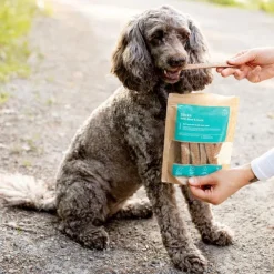 Buddy Petfoods Duck Dentaltugg 100 g