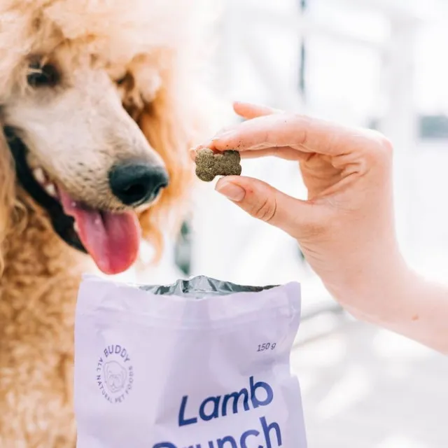 Buddy Petfoods Lamb Crunch Dog Hundgodis 150 g
