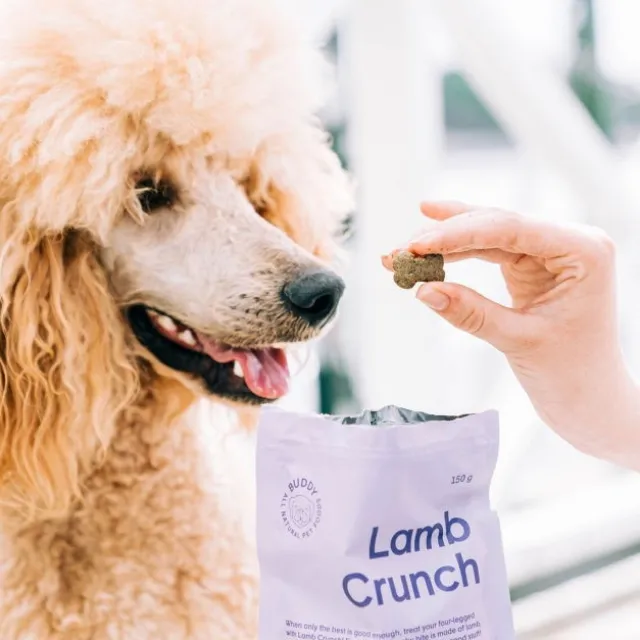 Buddy Petfoods Lamb Crunch Dog Hundgodis 150 g