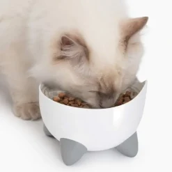 Catit Pixi Combo Kit Vattenfontän & Upphöjd Matskål Vit