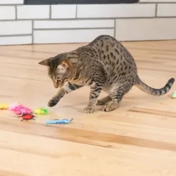 Catstages Cute As A Bug Insekter 6-pack