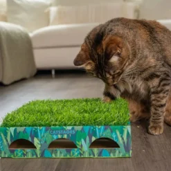Catstages Grass Patch Låda med Låtsasgräs & 3 bollar