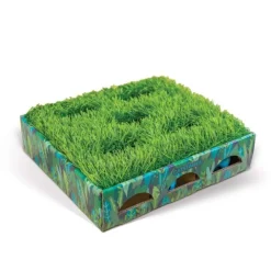Catstages Grass Patch Låda med Låtsasgräs & 3 bollar