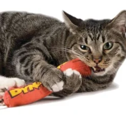 Catstages Green Magic Dynamite 23,5 cm