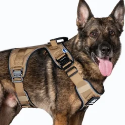Cerberos Active Hundsele Beige