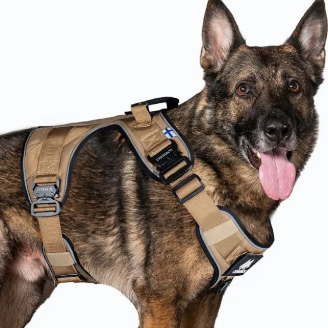 Cerberos Active Hundsele Beige