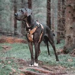 Cerberos Active Hundsele Beige