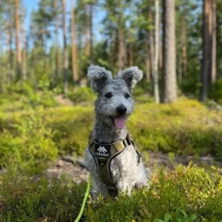Cerberos Active Hundsele Beige