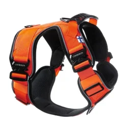 Cerberos Active Hundsele Orange