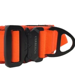 Cerberos Hundhalsband Reflekterande Orange