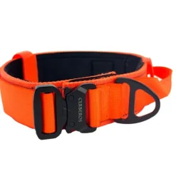 Cerberos Hundhalsband Reflekterande Orange