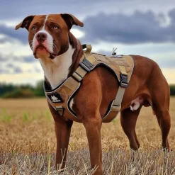 Cerberos Tactical Hundsele Beige
