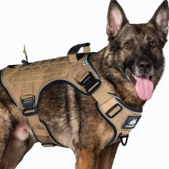Cerberos Tactical Hundsele Beige